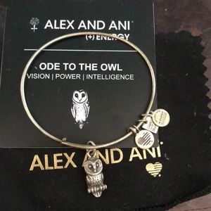 Ode to the Owl Alex and Ani Bracelet